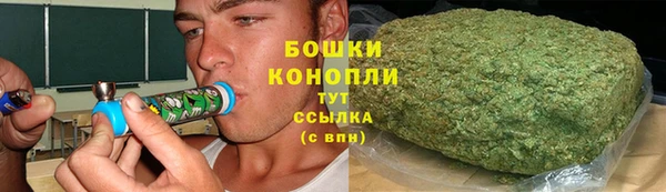 шишки Лабытнанги