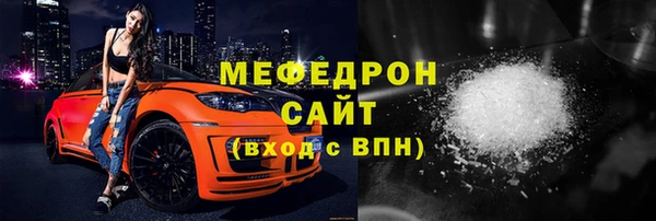 стаф Дубна