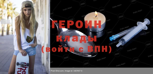 шишки Лабытнанги