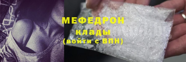 стаф Дубна
