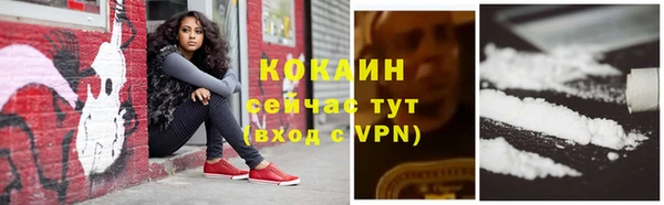 шишки Богородск