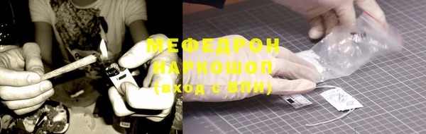 мдпв Богданович