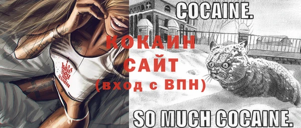 шишки Богородск