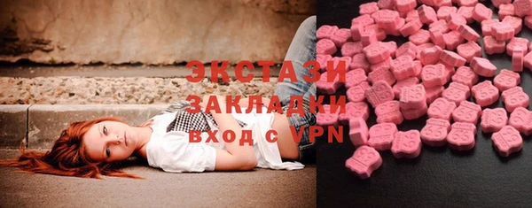 шишки Лабытнанги